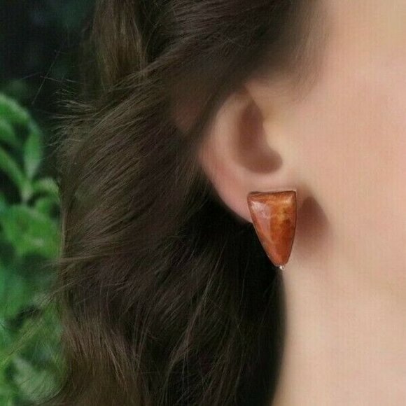 Sterling Silver Petrified Wood Earrings Stud Post Earrings - Picture 2 of 7